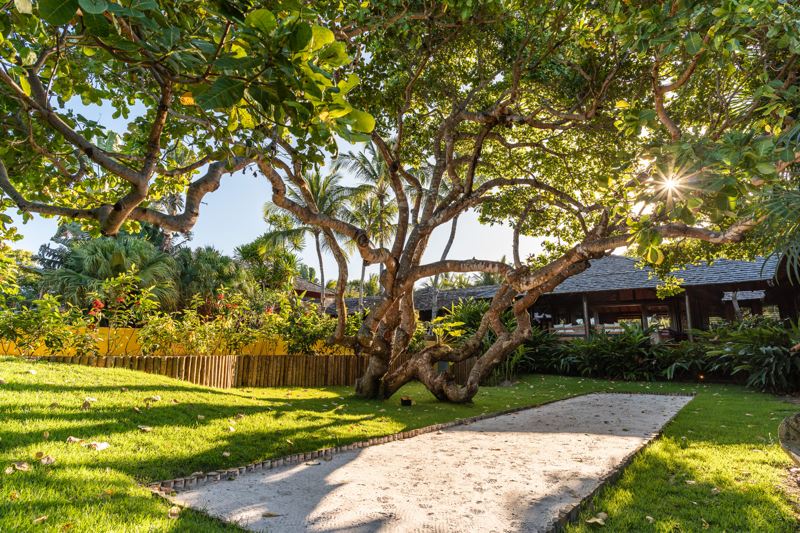 Aluguel casa de luxoTrancoso, Villa 16